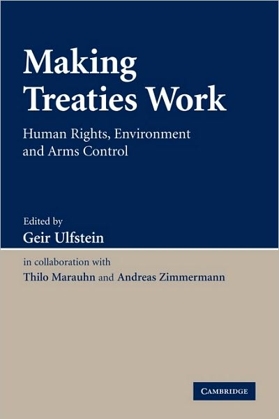 Cover for Geir Ulfstein · Making Treaties Work: Human Rights, Environment and Arms Control (Paperback Book) (2010)