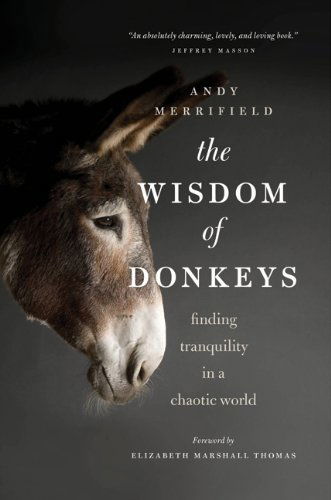 Cover for Andy Merrifield · The Wisdom of Donkeys: Finding Tranquility in a Chaotic World (Paperback Book) (2010)