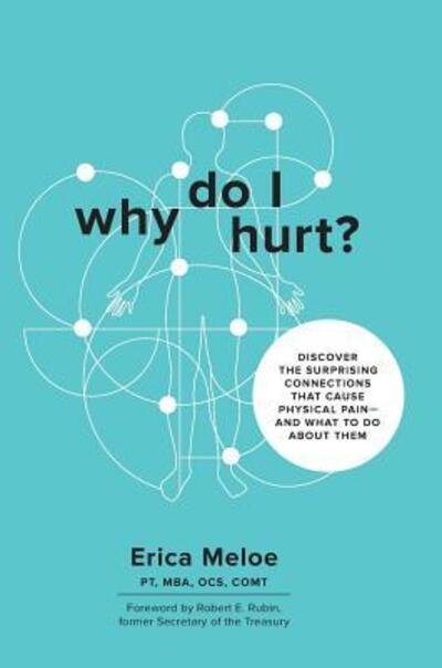 Cover for Erica Meloe · Why Do I Hurt? (Hardcover Book) (2018)