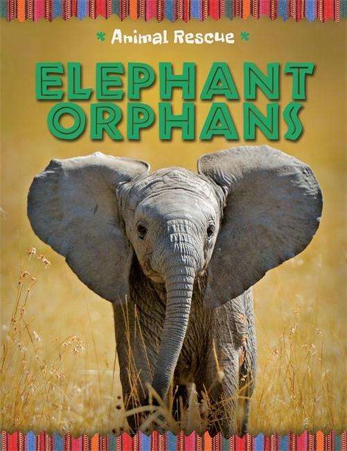 Animal Rescue: Elephant Orphans - Animal Rescue - Clare Hibbert - Livres - Hachette Children's Group - 9781445133928 - 12 mars 2015