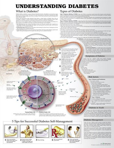 Cover for Anatomical Chart Company · Understanding Diabetes Anatomical Chart (Map) (2014)
