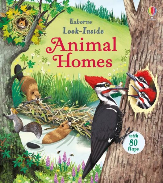 Cover for Emily Bone · Look Inside Animal Homes - Look Inside (Board book) (2018)