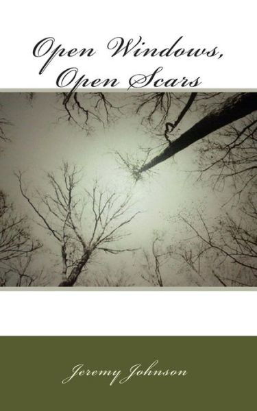 Cover for Jeremy Johnson · Open Windows, Open Scars (Paperback Book) (2012)