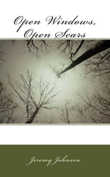 Open Windows, Open Scars - Jeremy Johnson - Books - Createspace - 9781481281928 - December 28, 2012