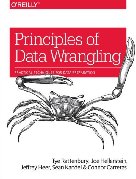 Cover for Tye Rattenbury · Principles of Data Wrangling: Practical Techniques for Data Preparation (Taschenbuch) (2017)