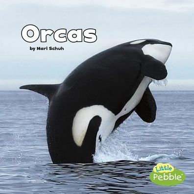 Cover for Mari Schuh · Orcas (Black and White Animals) (Paperback Book) (2017)