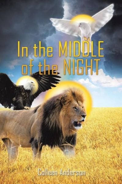 Cover for Colleen Anderson · In the Middle of the Night (Paperback Bog) (2017)