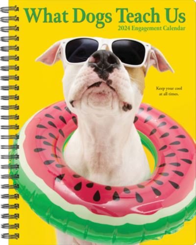 Cover for Willow Creek Press · What Dogs Teach Us 2024 6.5 X 8.5 Engagement Calendar (Kalender) (2023)