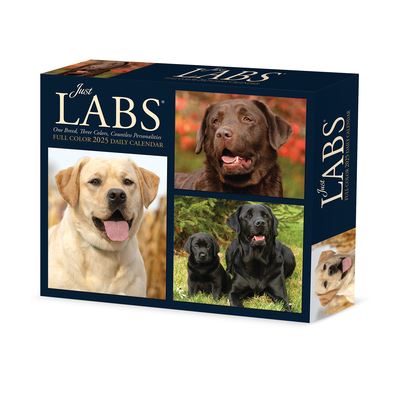 Cover for Willow Creek Press · Labs 2025 6.2 X 5.4 Box Calendar (Calendar) (2024)