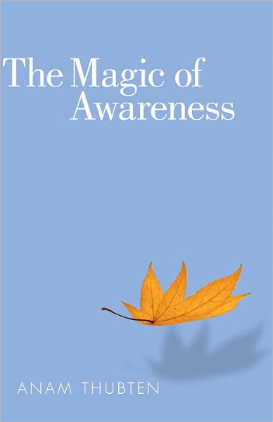 Cover for Anam Thubten · The Magic of Awareness (Paperback Book) (2012)