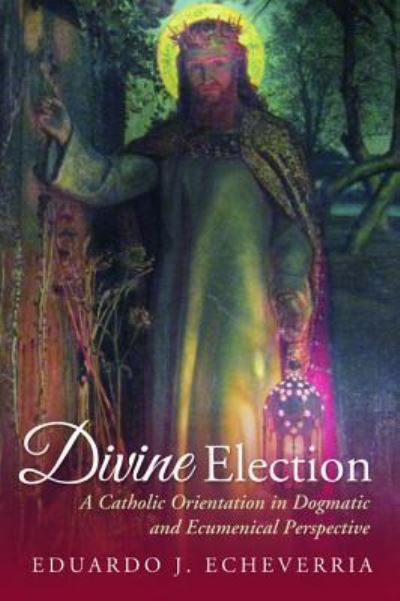 Cover for Eduardo J Echeverria · Divine Election (Paperback Book) (2016)