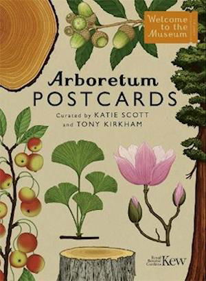 Cover for Royal Botanic Gardens Kew · Arboretum Postcards - Welcome To The Museum (DIV) (2023)