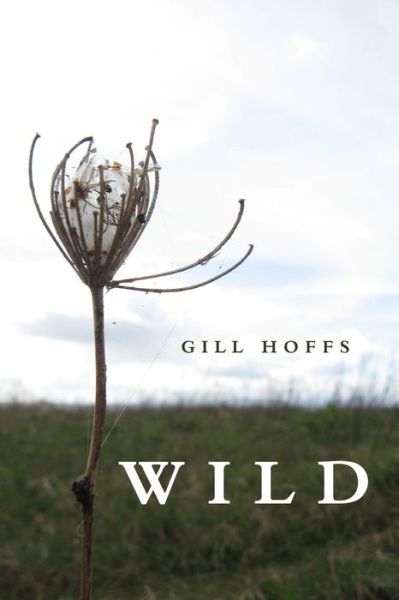 Cover for Gill Hoffs · Wild: a Collection (Paperback Book) (2014)