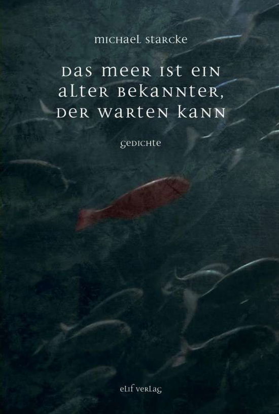 Cover for Michael · Das Meer ist ein alter Bekannte (Book)