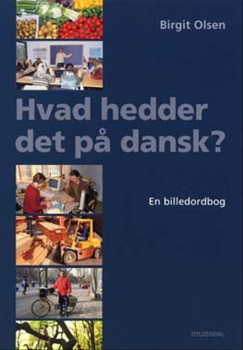 Hvad hedder det på dansk? - Birgit Olsen - Książki - Gyldendal - 9788702031928 - 16 lipca 2004