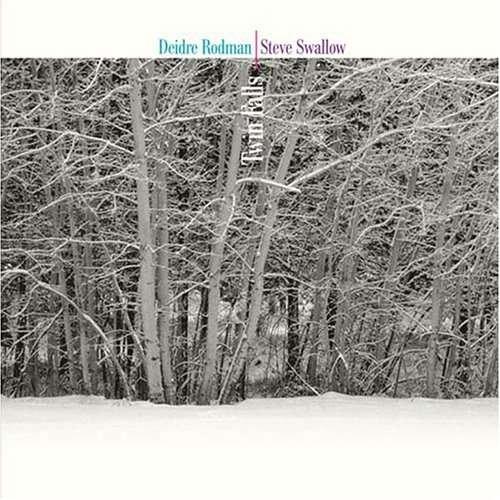 Twin Falls - Deidre Rodman - Music - SUNNYSIDE - 0016728114929 - June 30, 1990