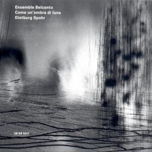 Cover for Ens. Belcanto / Spohr Dietburg · Come Un'ombra Di (CD) (2002)