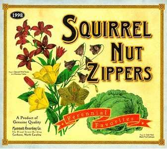 Perennial Favorites - Squirrel Nut Zippers - Musik - MAMMOTH - 0035498016929 - 4. August 1998