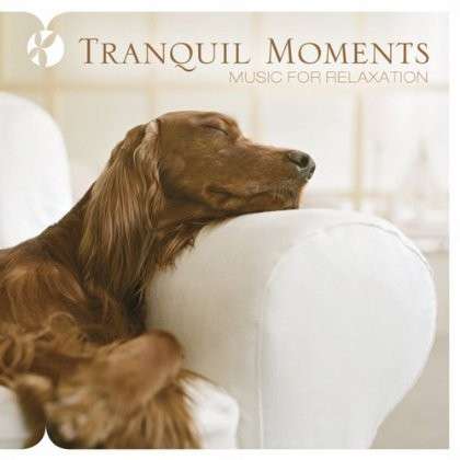 Cover for Somerset · Tranquil Moments (CD) (2014)