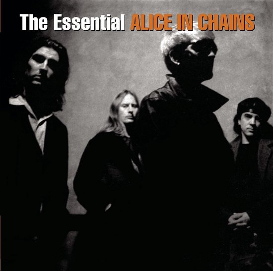 The Essential Alice in Chains - Alice in Chains - Música - SONY MUSIC - 0190759663929 - 30 de junho de 2019