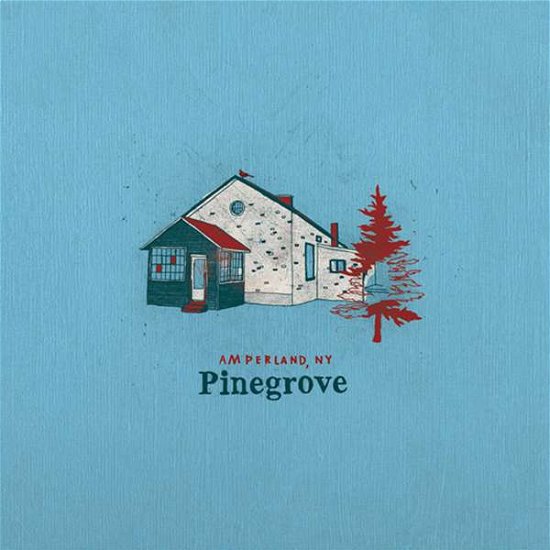 Cover for Pinegrove · Amperland, Ny (CD) (2021)