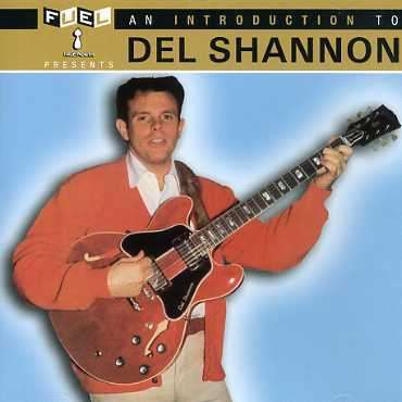 An Introduction to - Shannon Del - Muziek - BLUES - 0620638043929 - 30 juni 1990