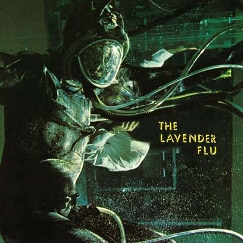 Cover for Lavender Flu · Heavy Air (CD) (2016)