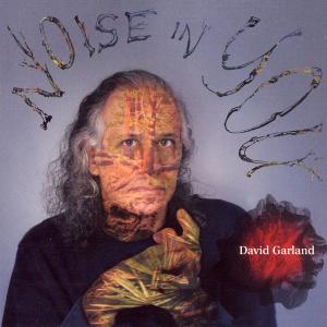 Cover for David Garland · Noise in You (CD) (2007)