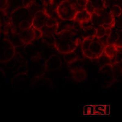 Cover for Osi · Blood (CD) (2009)