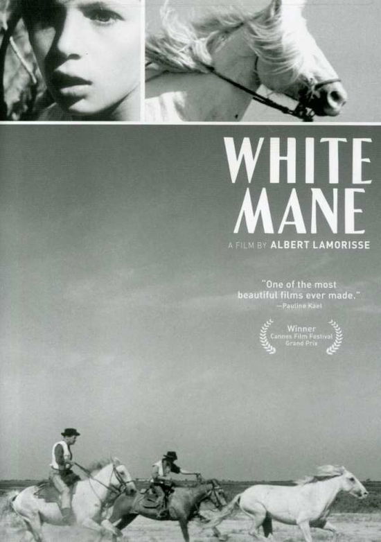 Cover for Criterion Collection · White Mane / DVD (DVD) (2008)