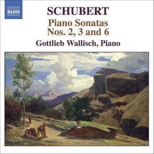 Early Piano Sonatas - Franz Schubert - Musiikki - NAXOS - 0747313263929 - maanantai 3. huhtikuuta 2006