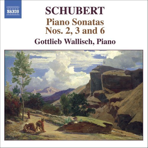 Early Piano Sonatas - Franz Schubert - Musik - NAXOS - 0747313263929 - April 3, 2006