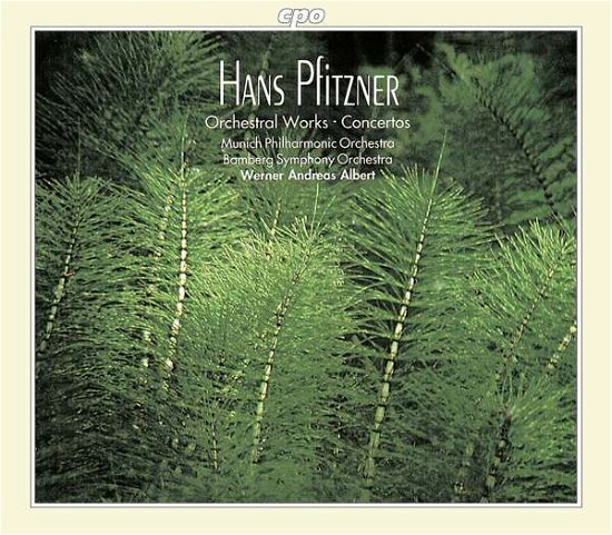 Cover for Pfitzner / Albert / Bamberg Symphony Orchestra · Complete Orchestral Works (CD) (1995)