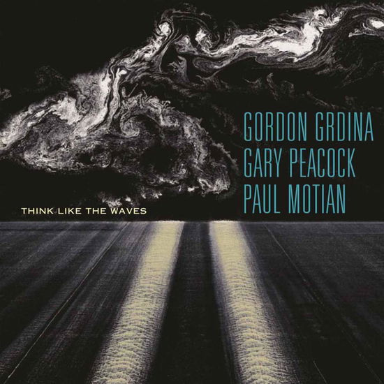 Cover for Gordon Grdina &amp; Gary Peacock &amp; Paul Motian · Think Like The Waves (CD) (2015)