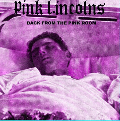 Cover for Pink Lincolns · Back From The Pink Room (CD) (2015)
