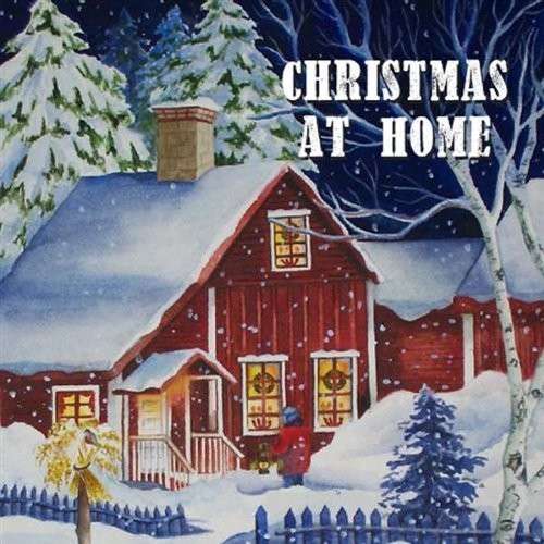 Cover for Michael Fischer · Christmas at Home (CD) (2012)