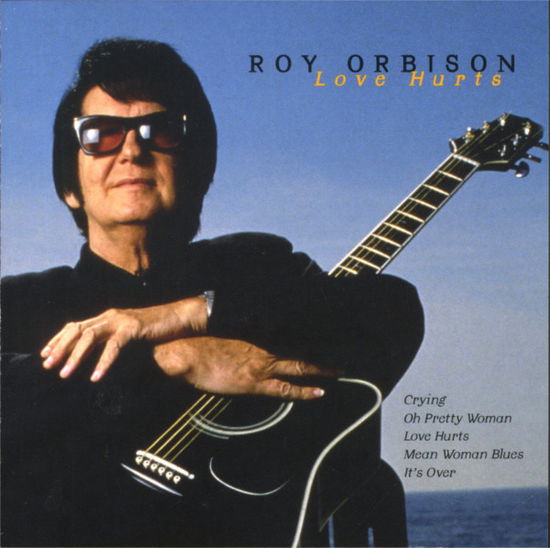 Love Hurts - Roy Orbison - Muzyka - Sony - 0828762751929 - 23 lipca 2014