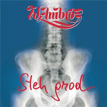 Cover for Ambros Wolfgang · Steh Grod (CD)