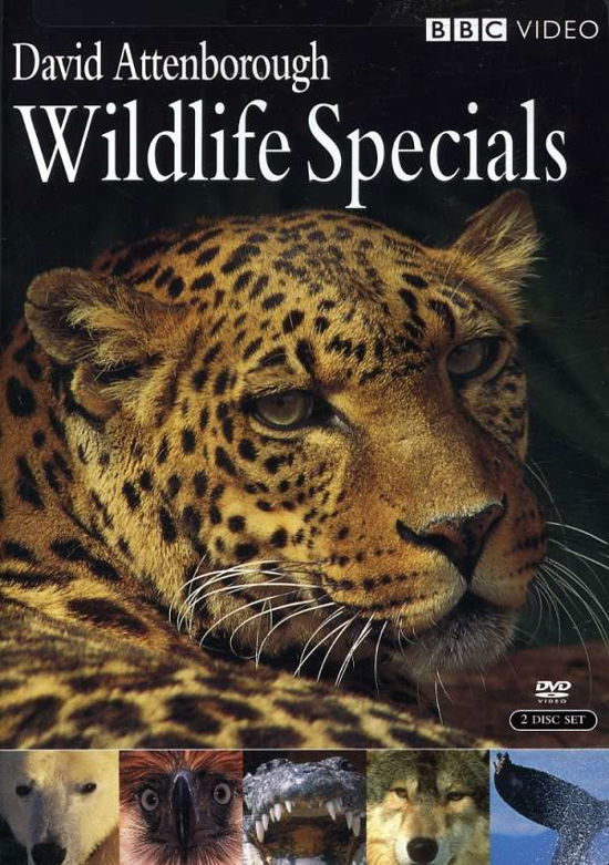 Wildlife Specials - David Attenborough - Filmes - WARNER - 0883929010929 - 1 de abril de 2008