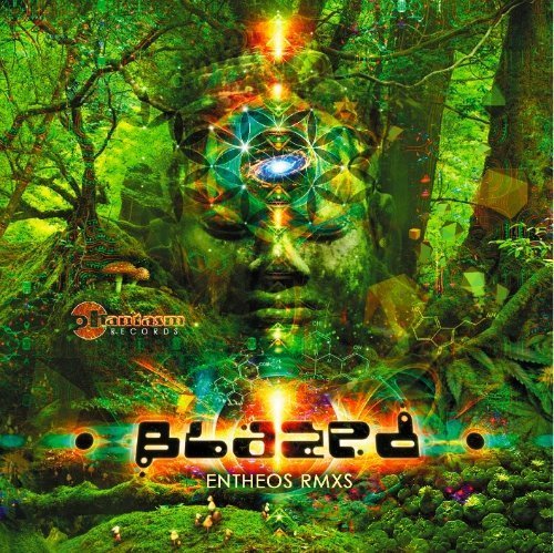 Cover for Entheos · Remixes (CD) (2011)