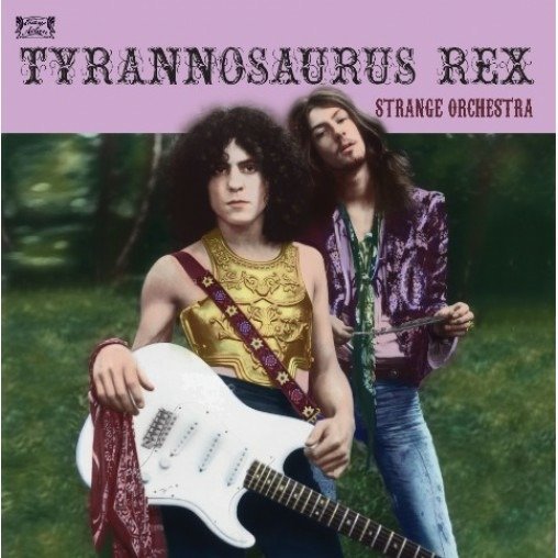 Strange Orchestra - Tyrannosaurus Rex - Música - EASY ACTION - 5060446072929 - 28 de janeiro de 2022