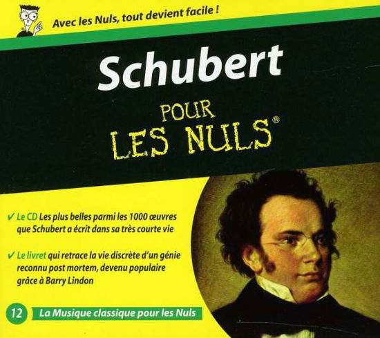 Cover for Schubert · Pour Les Nuls (vol12) (CD) (2012)