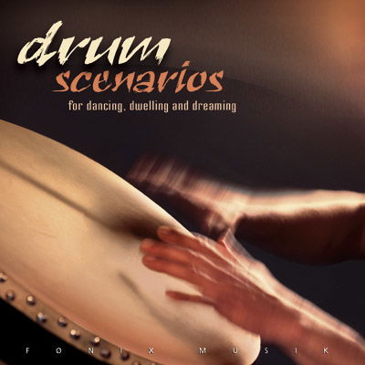 Cover for Steen Raahauge · Drum Scenarios (CD) (2003)