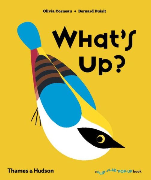 Cover for Olivia Cosneau · What's Up? - A Flip Flap Pop Up Book (Hardcover Book) (2016)