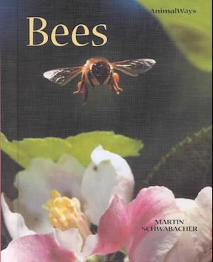 Cover for Martin Schwabacher · Bees (Animal Ways) (Hardcover Book) (2003)