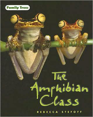 Cover for Rebecca Stefoff · The Amphibian Class (Hardcover Book) (2008)