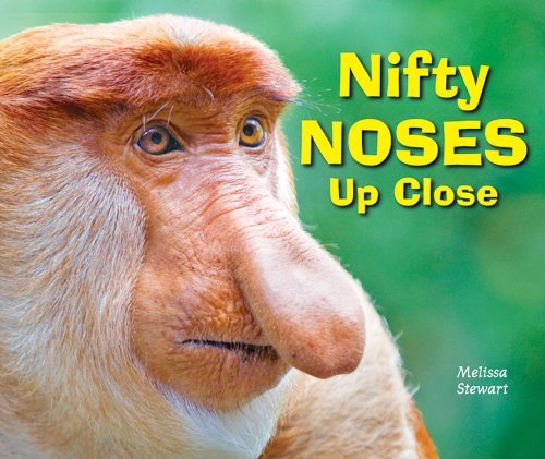 Nifty Noses Up Close (Animal Bodies Up Close) - Melissa Stewart - Bøker - Enslow Elementary - 9780766038929 - 1. april 2012