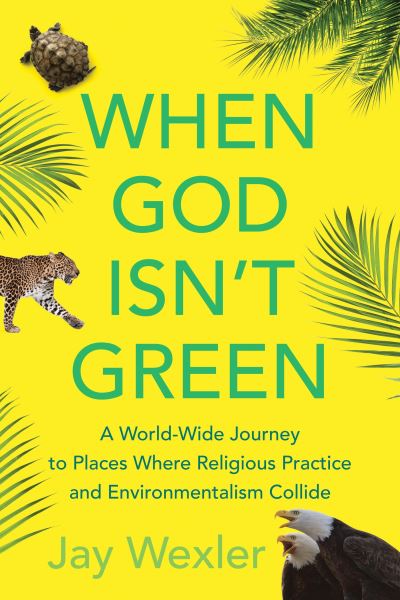 Cover for Jay Wexler · When God isn't green (Book) (2016)