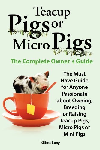 Teacup Pigs and Micro Pigs, the Complete Owner's Guide - Elliott Lang - Böcker - Internet Marketing Business - 9780956626929 - 2 mars 2011