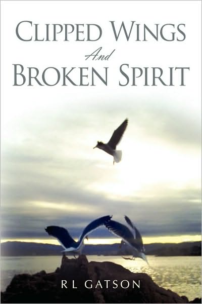 Cover for Rl Gatson · Clipped Wings and Broken Spirit (Paperback Bog) (2010)